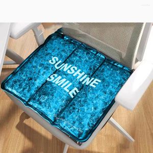 Pillow Summer Cooling Ice Water Pet Gel Dog Mat Waterproof PillowCar Office Home Chair