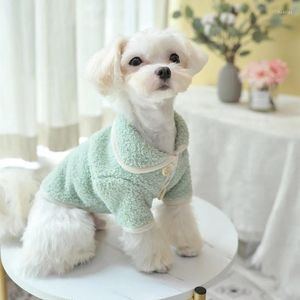 Abbigliamento per cani Insbuota Cloud Vendite per animali domestici Cat Autumn e inverno abbigliamento schnauzer costumi di cappotto caldo per cani di piccola taglia