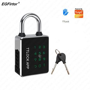 Kontroll EGFIRTOR TTLOCK PALLLOCK TUYA APP IC CARD RFID PASSISendet Nyckel NFC Lås upp Waterproof IP65 Bluetooth Smart Electronic Door Lock