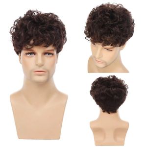 Wigs Gres Men Natural Brown Wigs Short Wavy Fluffy Synthetic Hair Wig for Daily Use High Temperature Fiber