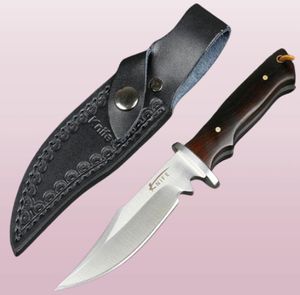 Neuankömmlinge kleines Überleben Gerade Jagdmesser 440c Satin Bowie Blade Voller Tang Ebony Griff feste Klingenmesser mit Leder SH2078995