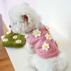 Hundkläder husdjur söt tröja 3d klassiska blommor som blommar 2-benen stickade kläder för kallt väder liten medeljacka kawaii kattrock
