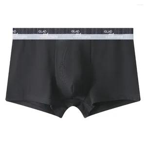 Underpants 1pc maschile bulge bulge shorts cotone miscela in vita medio biancheria bianche da uomo sexy mutandine