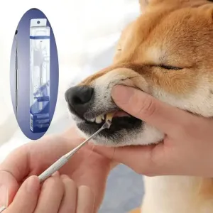 Çıkanlar Pet Dog Diş Temizleyici Tartar Removers Scraper Dental Kalem Paslanmaz Çelik Pet Yavru Köpek Ağız Nefes Taze Oral Temizleme Aracı