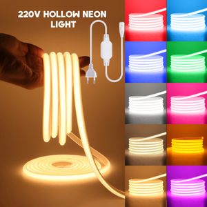 COB Neon LED Strip Light 220V EU Plug 5M10M20M30M Kök utomhus trädgård LED -tejp vit rödblå grön rosa lila dekor 240411