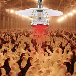 Lighting Chick Heat Lamp Accessories for Solar Heater Chicken Coop Aluminum Durable Pet Cage