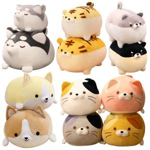 Kuddar 3070 cm härlig Corgi Shiba Inu Tiger Husky Cats Peluche Toys Kawaii Fat Chai Dog Pillows Soffa Cushion Surprise Birthday Present