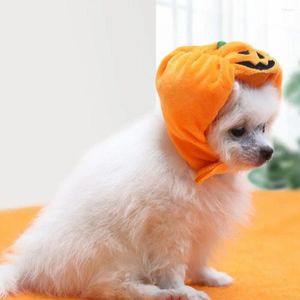 Köpek giyim küçük oyuncak evcil hayvan aksesuarlar köpek şapkaları headdress kostüm şapka araçları balkabağı cadılar bayramı dekorasyon