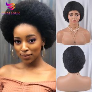 Perücken Afro Kinky Curly Brasilian Remy Short Perücke mit menschlichem Haar kurze Perücken für Frauen versaute lockige menschliche Haarperücken zum Verkauf kostenloser Versand