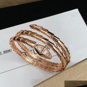 Bangle Sanke Diamond Bracelet Gold Designer Jewelry для женщин 18K Rose Sier Cuff Bracelets Женщины ювелирные украшения девочка Lady Man Paty Ho Ot5vl