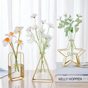 Vaser 2024 Hydroponic Container 2st/Set Nordic Style Geometric Exducite Flower Vase Star Shape Metal Frame Glass Home Decoration
