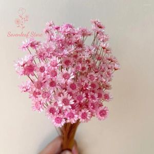 Dekorative Blumen natürlicher getrockneter kleiner Sternblume Boho Wohnkulturkamille Bouquet Hochzeitsfeier Dekoration Künstliche Pflanzenpampa Pampa