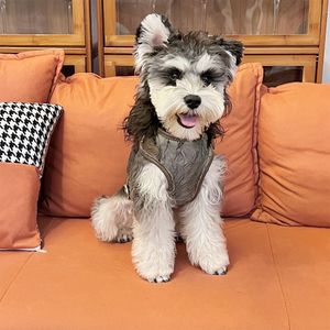 Designer Pet Dog Harness Set Collar Brand Fashion Brand French Dou Corgi Schnauzer Leash Himh Style Style Cat 3A Quality