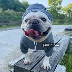 Tasarımcı Pet Giyim Seti Köpek Alt Gömlek+Şapka Klasik Mektup Yapıştırıcı Strip Pet Elastik T-Shirt Siyah Gri Pirinç Beyaz Fadou Teddy Schnauzer Giysileri XS-3XL