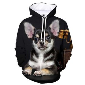 Herrtröjor tröjor djurhund chihuahua 3d tryckt hoodie män damer casual hoodie pullover harajuku mode streetwear y2k kläder hoodies toppar 240424