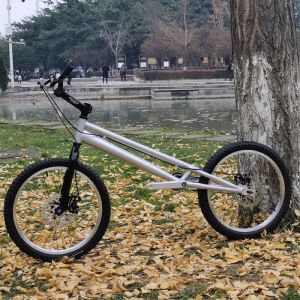 自転車20インチスタントバイク