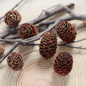 Dekorativa blommor 8 st/3-4 cm natur verklig torkad pineal frukt evigt växt diy presentförpackning dekoration blommmaterial för jul