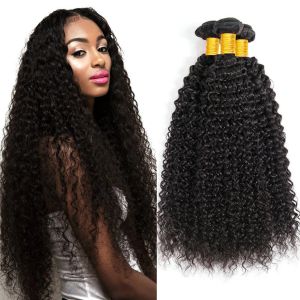 Peruki peruki Brazylijskie perwersyjne kręcone ludzkie włosy wiązki podwójne wątek naturalny czarny kolor 100% nieprzetworzone Remy Human Hair Weave