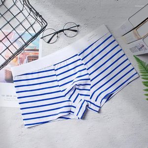 Underpants Sexy's Sexy Wainpe Stripe Aro Persons Personalizza