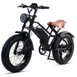 Bicicleta Feivos W1 Offroad Mountain Electric Bike 500W Alumínio de alumínio Tires de neve de neve de 20 