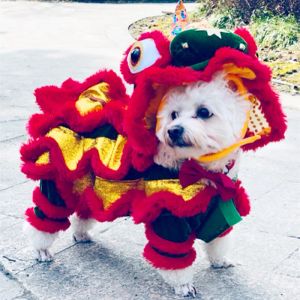 Zestawy ubrania dla psów Pet Pet Chinese Chinese Lion Costume Płaszcz Zimowy kostium szczeniaka Mały pies Spring Festival