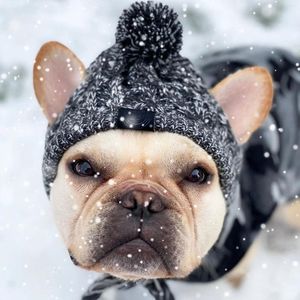 Abbigliamento per cani Cappello invernale Pom Ho caldo Beanie da compagnia a maglia con fori per le orecchie per piccoli cani