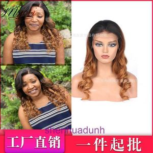 100% Human Hair Full Lace Wigs 13x4 lace front wig T1B/27