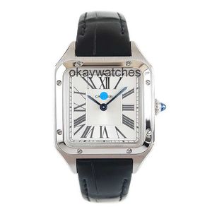 Disposos trabalham relógios automáticos Carter Womens Assista Sandoz Series Quartz Mechanical Watch New WSSA0022