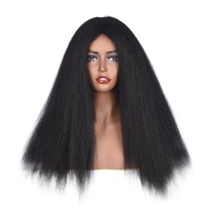 Wigs Long Kinky Straight Synthetic Wigs for Black Women Black Brown Blonde Ginger Burgundy Hair Afro Wigs Synthetic Hair Daily Wigs