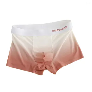 Underpants Men gradiente boxeadores breves roupas íntimas masculinas bulge shorts boxer boxer