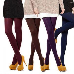 Mulheres meias outono inverno leggings sexy clássico preto 120d de alta elasticidade opaca calcinha meias espessas sem costura com pés
