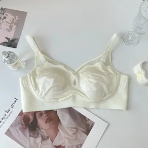 Bras Sexy Underwear For Girls With Thin Large Breasts And Small Women. Mesh Anti-sagging No Rims Bra