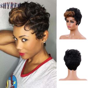 Wigs Synthetic Wig Short Afro Kinky Curly Hair Black Brown Wigs For Black Women Fluffy Curls Wigs