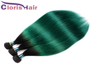 PreColored Green Ombre Raw Virgin Indian Straight Weft Bundles Two Tone 1B Turquoise Human Hair Weave 3pcs Exquisite Sew In Exten5235655