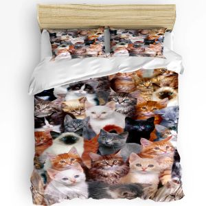 Kissen Tier Multi -Color -Katzen gedruckte Komfort Duvet Cover Kissen Hülle Home Textile Quilt Cover Boy Kind Teen Mädchen 3pcs Bettwäsche Set