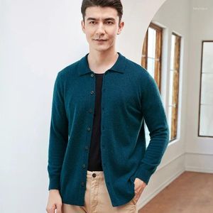 Herren Polos Polo Kragen Kleidung 100 reines Wollstrick -Strickjagd Männer Frühling und Herbst Business Freizeit Langarmpullover angepasst