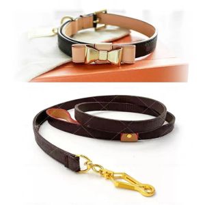 Leads Designer Pet Dog Collars Cabla cassa e set di guinzaglio Nome incisivi Collari di lusso per gli accessori per colletti per gatti da cucciolo