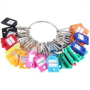 Keychains Portable Key Organizer With 30 Individual Spring Hooks And Tags For Multiple Keys Office Janitor Apartments