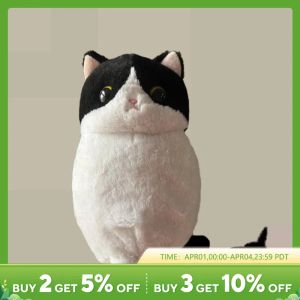 Toys sevimli kedi peluş oyuncak doldurulmuş hayvanlar kedi kedi yumuşak bebek balck kedi yastık çocukları erkekler için doğum günü hediyesi