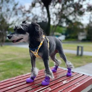 Hundhalsar ankomst husdjur regn stövlar små skor chihuahua Yorkshire terrier schnauzer valp hundtillbehör zapatos perro