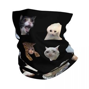 Mode ansikte masker nacke gaiter gråtande katt meme pack bandana nacke gaiter tryckt rolig söt balaclavas magisk halsduk pannband fiske för män kvinnor adu y240425qx4c