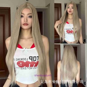 Genuine hair wigs online store New front small lace light brown wig with long straight soft and smooth