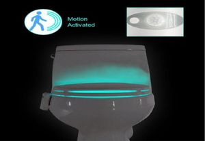 SXI Toliet Human Body Auto Motion Activated Sensor Seat Lights con 8 diversi colori LED Night Light9569504