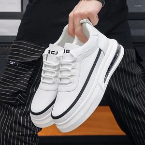 Casual Shoes Korean Style Mens White Lace-up Original Leather Shoe Air Cushion Sneakers Flats Platform Footwear Zapatos Hombre