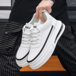 Scarpe casual in stile coreano maschile lace-up in pelle originale in pelle aria sneaker sneakers piattaforma piattaforma calzature zapatos hombre