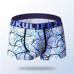 Underpants 2pcs Men Boxer Modal Modal trasmissione mutandine maschili cueca tanga boxer pantaloncini