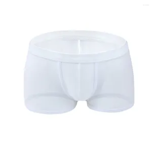 Cuecas masculas sexy malha u-convex boxer cuecas finas lotas de baixo teor transparente calcinha de nylon calcinha