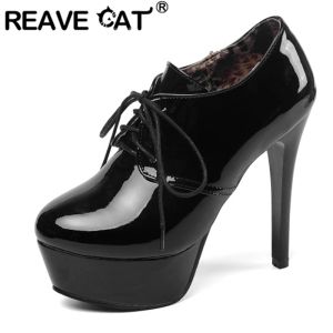 Stövlar Reave Cat Woman Pumps Round Toe 13cm tunna höga klackar Patentläder Lace Up Crosstied Plattformar Stor storlek 3345 Casual A2874