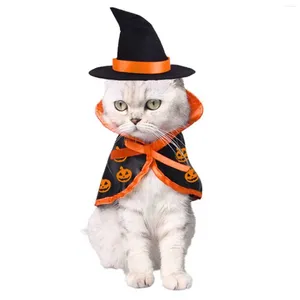 Cat Costumes Puppy Cosplay Halloween Cape Bat mönster Kappa mjuk trasa med hatt set för temapläder