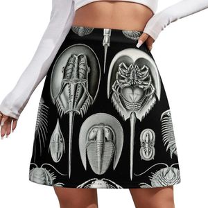 Röcke Haeckel Trilobite Minirock koreanische Damen Summer Night Club Outfit